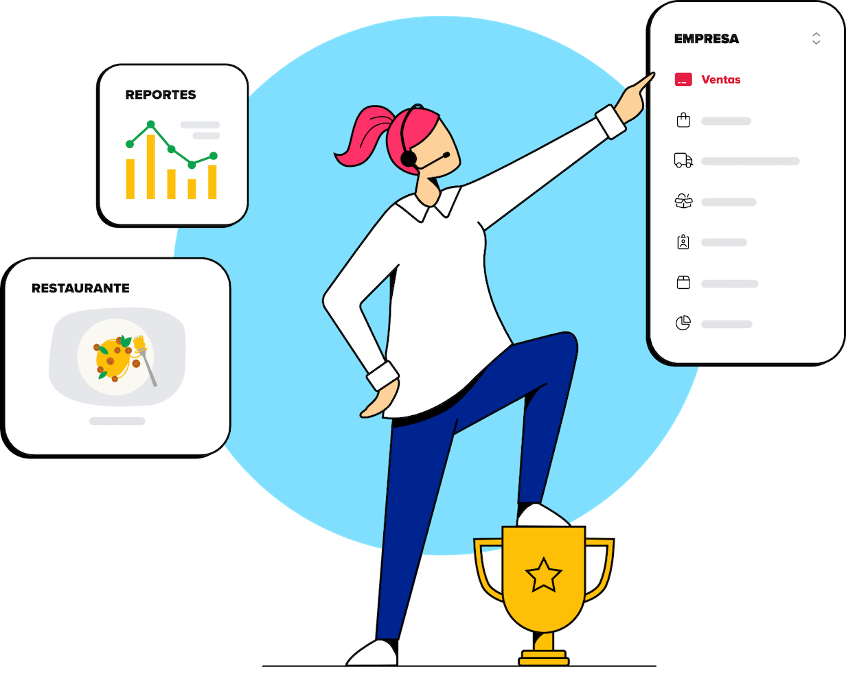 Características del sistema API SUNAT